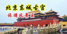 内射大骚13中国北京-东城古宫旅游风景区